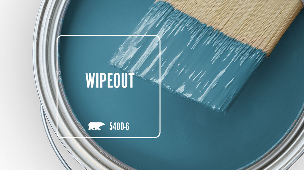 WIPEOUT Color