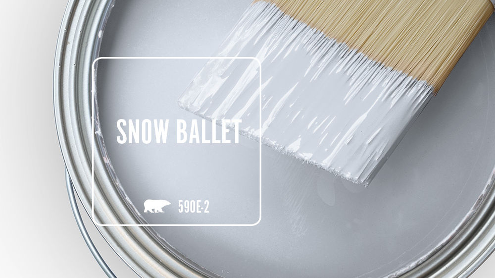 SNOW BALLET Color