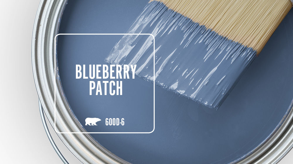 BLUEBERRY PATCH Color for Mobile
