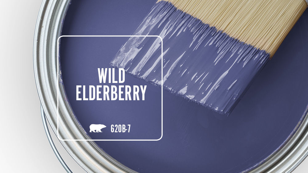 WILD ELDERBERRY Color for Mobile