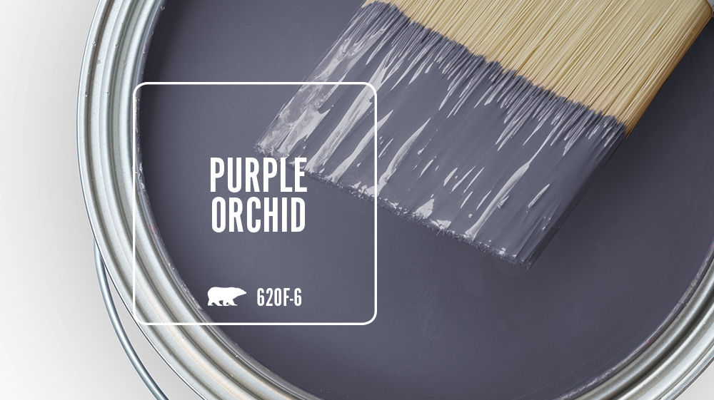 PURPLE ORCHID Color for Mobile