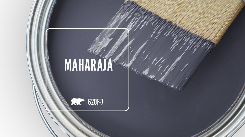 MAHARAJA Color