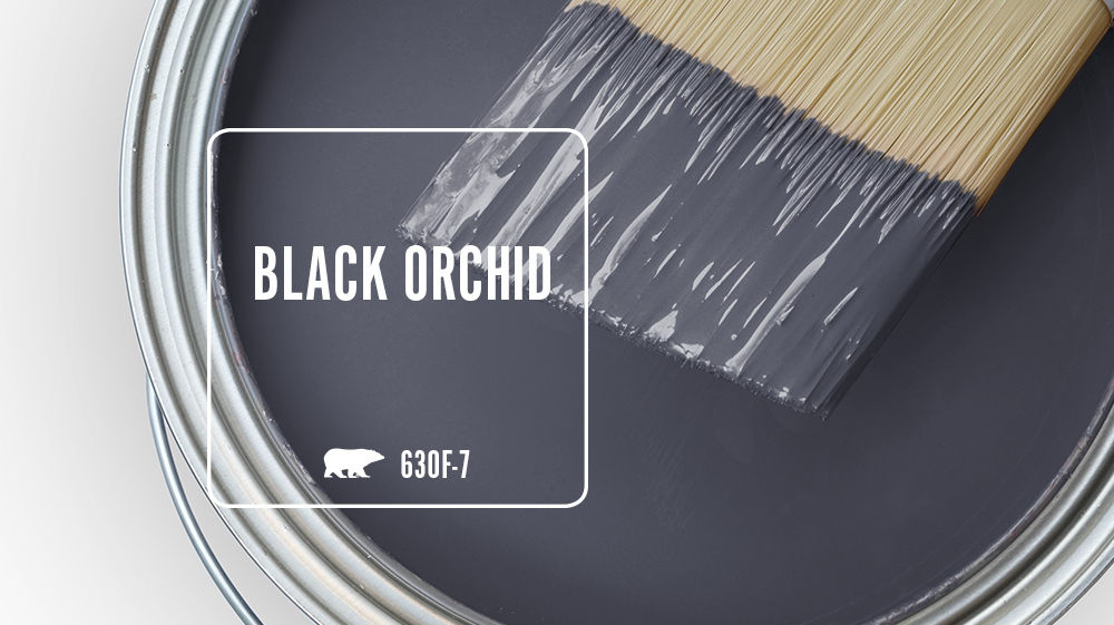 BLACK ORCHID Color for Mobile