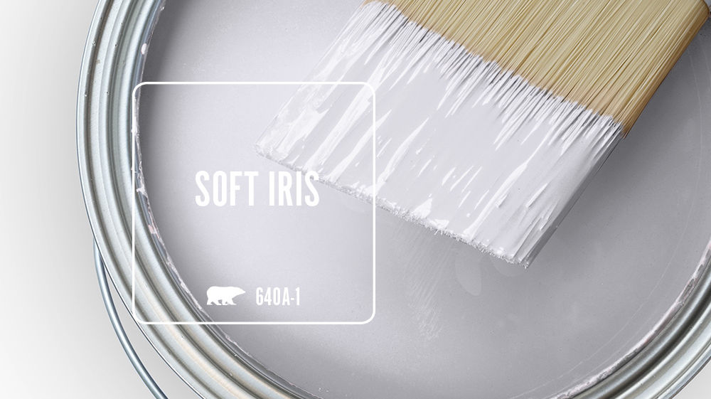 SOFT IRIS Color for Mobile