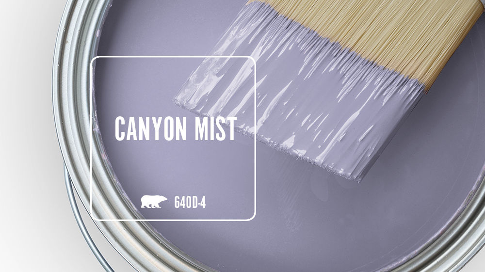 CANYON MIST Color