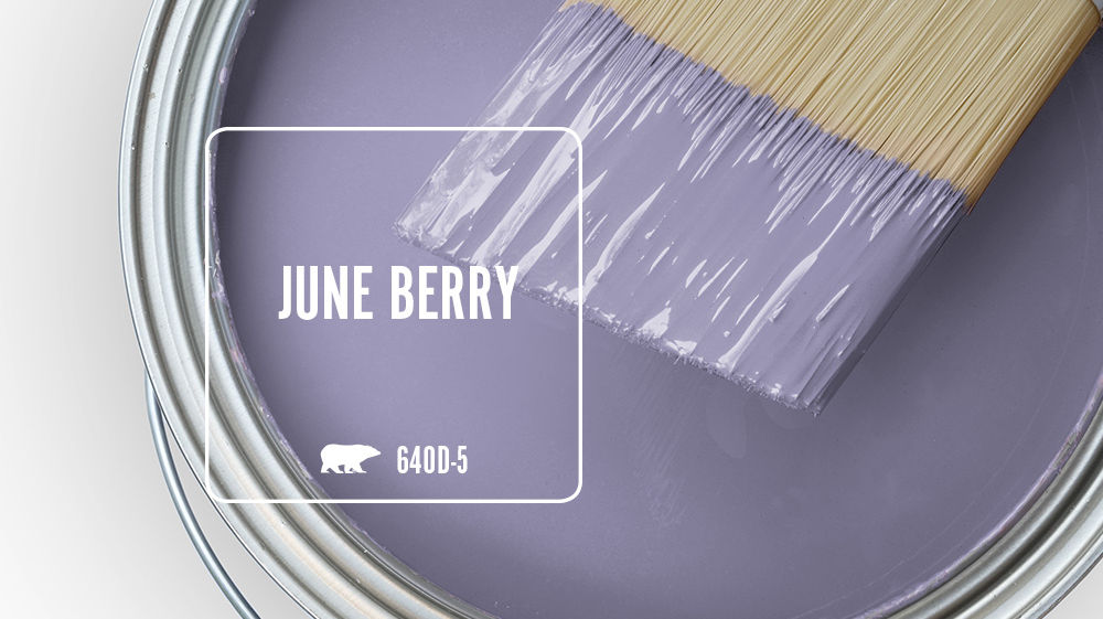 JUNE BERRY Color for Mobile