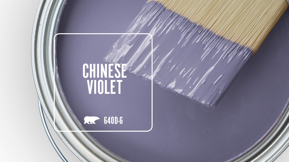 CHINESE VIOLET Color