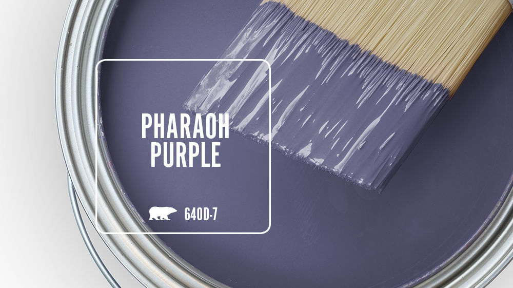 PHARAOH PURPLE Color for Mobile