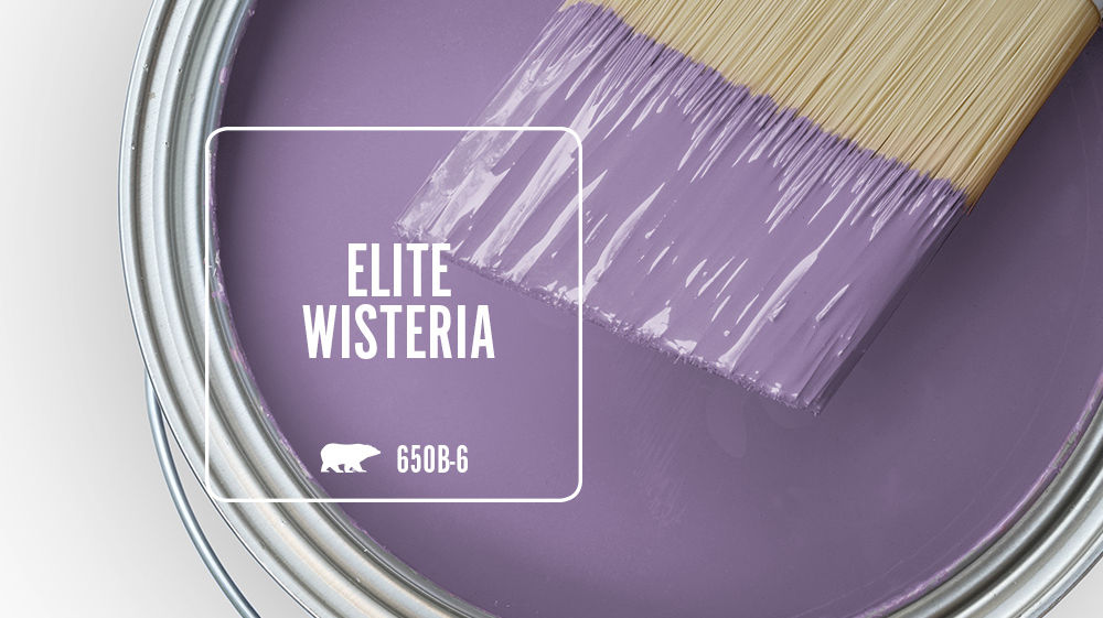 ELITE WISTERIA Color