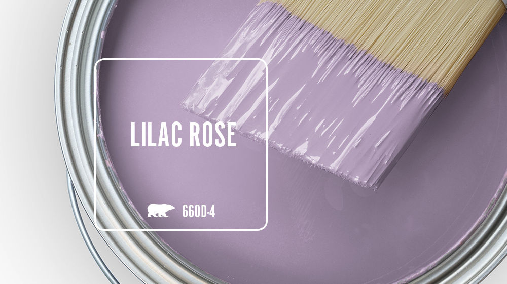 LILAC ROSE Color for Mobile