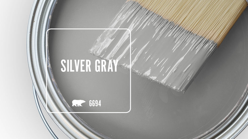 SILVER GRAY Color for Mobile
