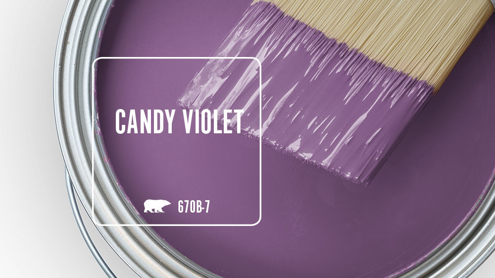 CANDY VIOLET Color for Mobile