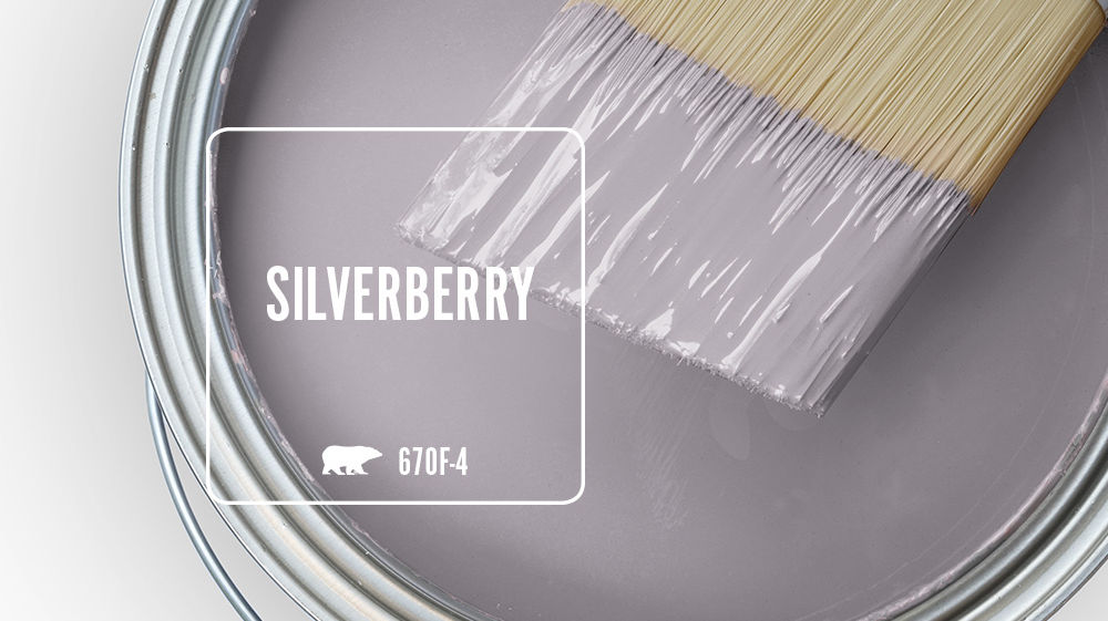 SILVERBERRY Color for Mobile