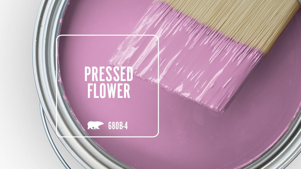 PRESSED FLOWER Color for Mobile