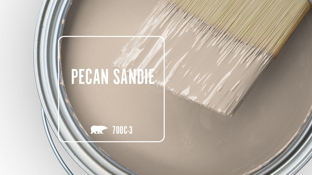 PECAN SANDIE Color for Mobile