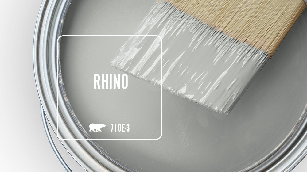 RHINO Color for Mobile