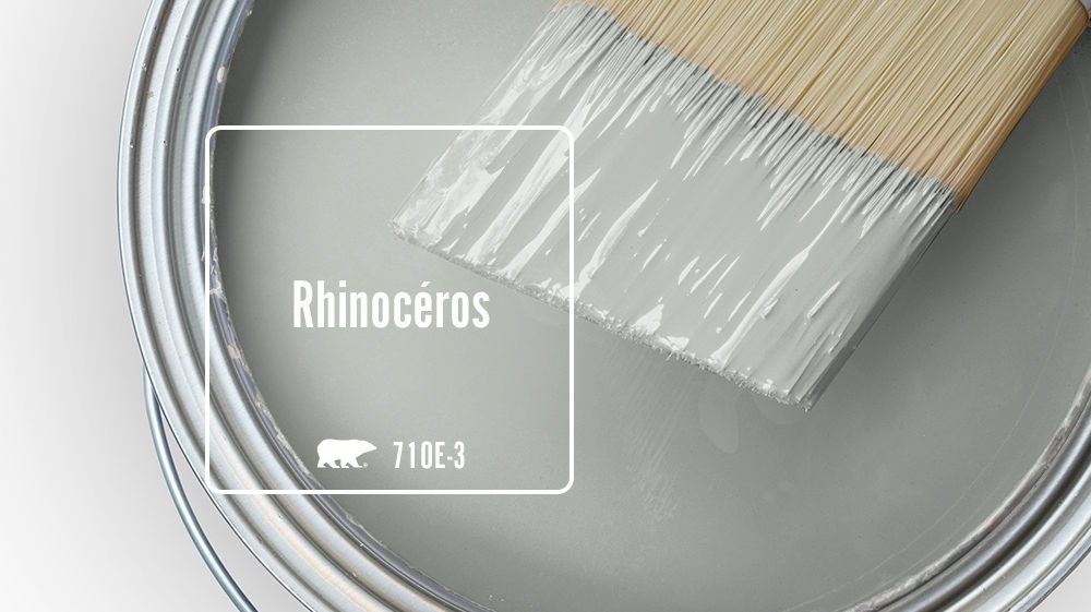 Rhinocéros Color for Mobile