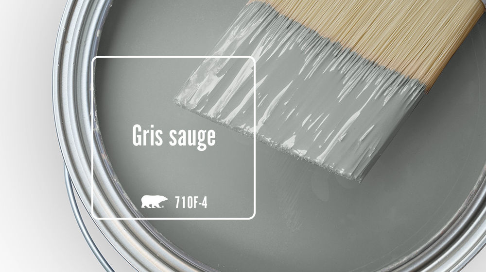 Gris sauge Color for Mobile