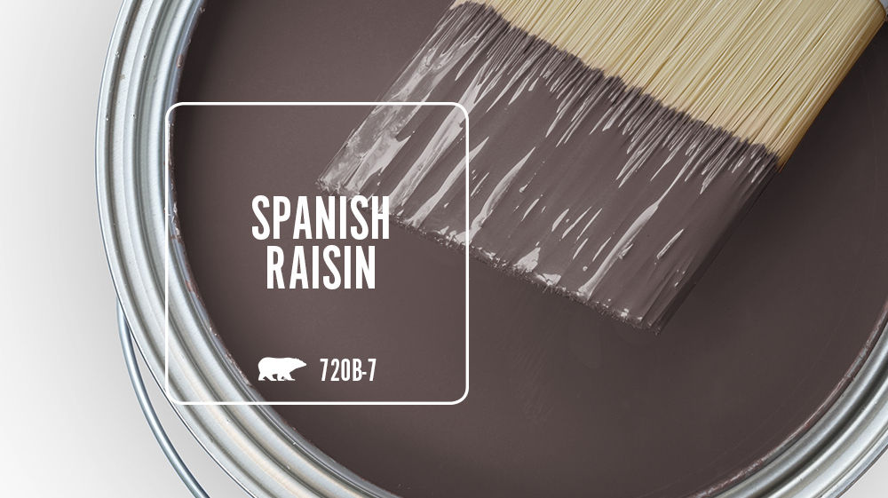 SPANISH RAISIN Color for Mobile