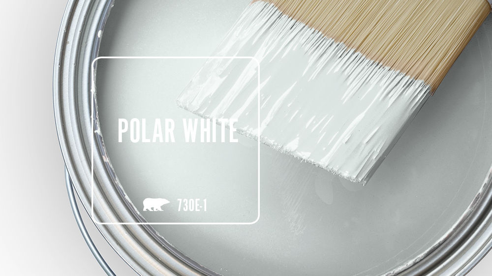 POLAR WHITE Color for Mobile