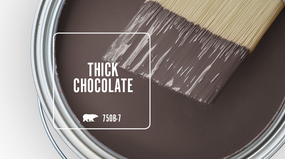 THICK CHOCOLATE Color