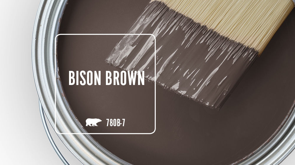 BISON BROWN Color for Mobile