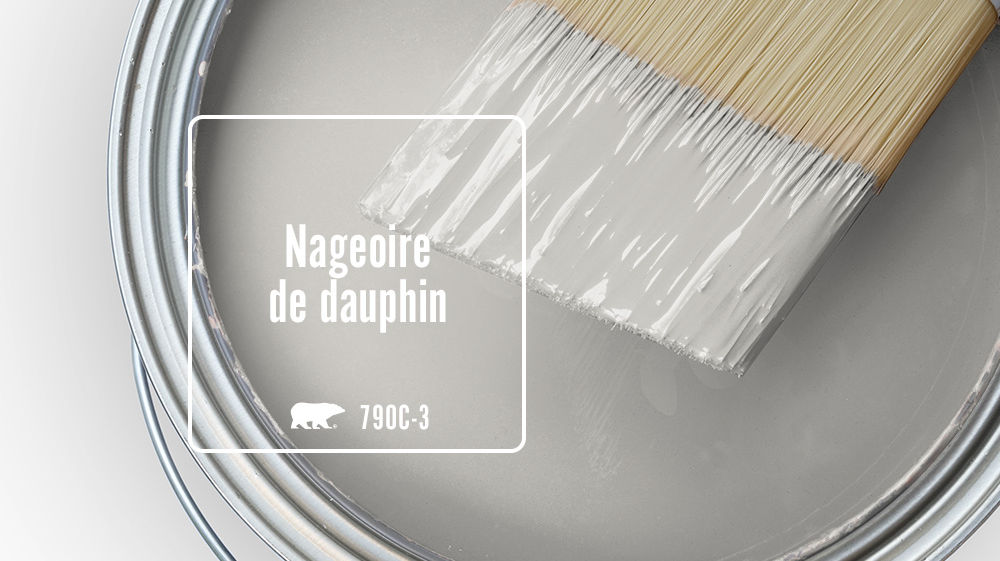 Nageoire de dauphin Color for Mobile