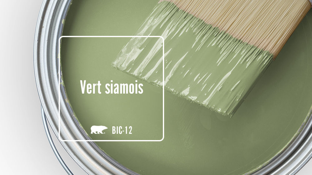 Vert siamois Color for Mobile