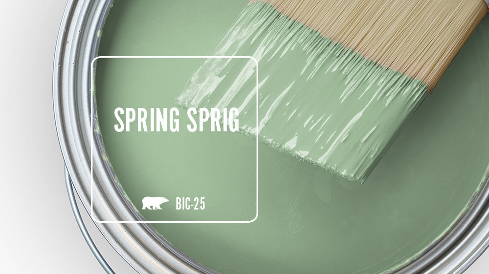 SPRING SPRIG Color for Mobile