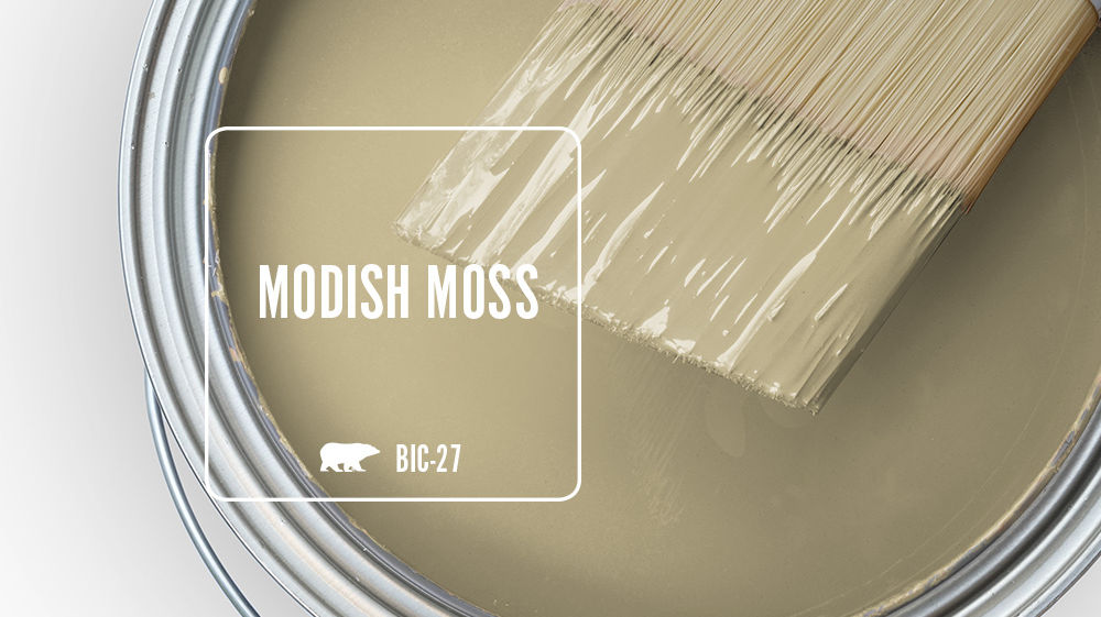 MODISH MOSS Color for Mobile