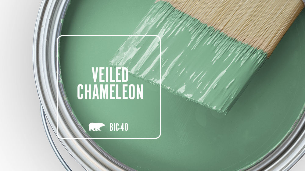 VEILED CHAMELEON Color for Mobile