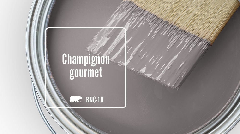 Champignon gourmet Color for Mobile
