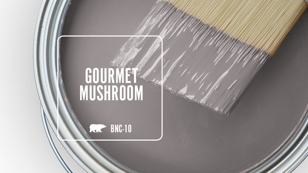 GOURMET MUSHROOM Color for Mobile