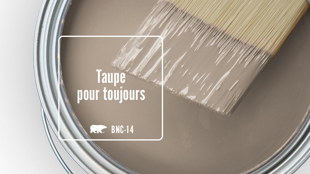 Taupe pour toujours Color for Mobile
