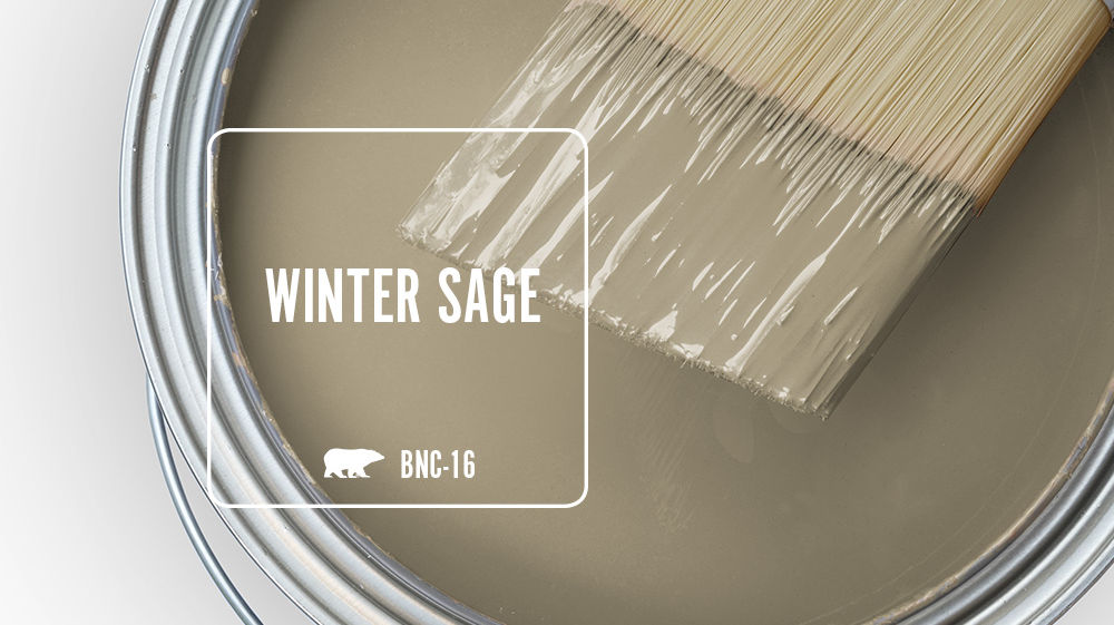 WINTER SAGE Color for Mobile