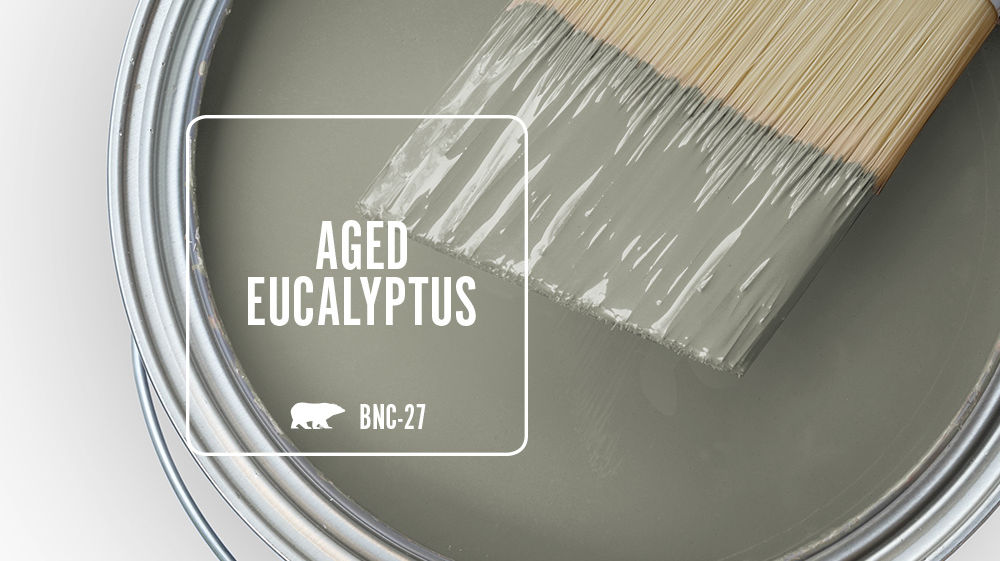 AGED EUCALYPTUS Color for Mobile
