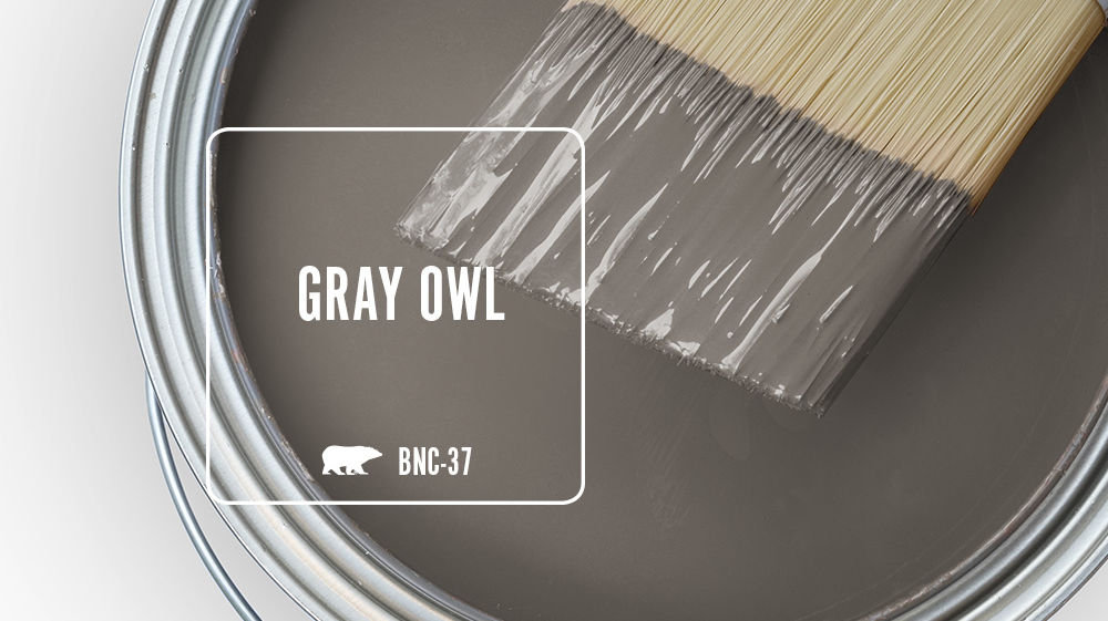 GRAY OWL Color for Mobile