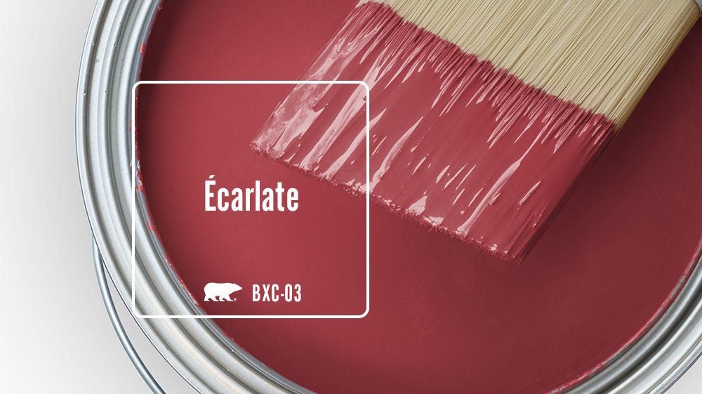 Écarlate Color for Mobile