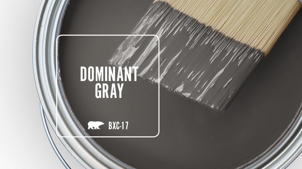 DOMINANT GRAY Color