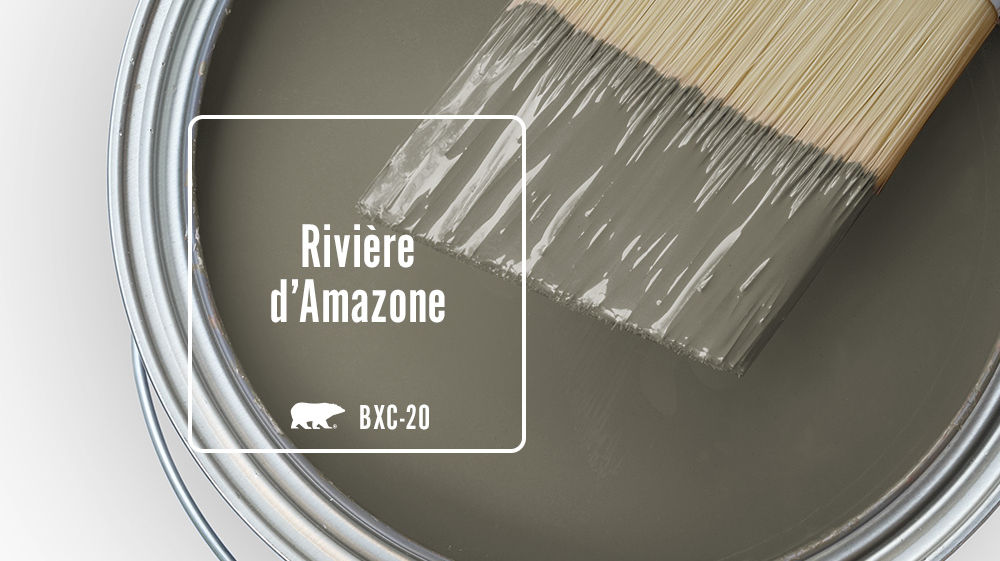 Rivière d'Amazone Color for Mobile