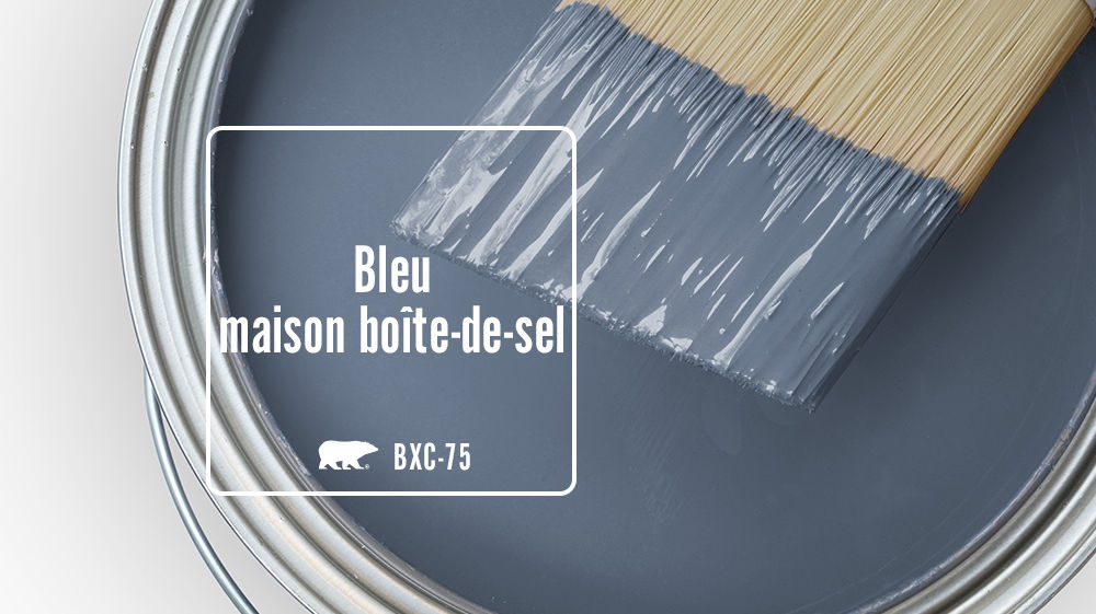 Bleu maison boîte-de-sel Color for Mobile