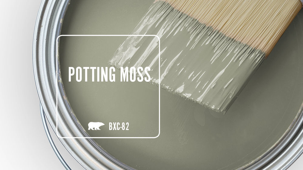 POTTING MOSS Color for Mobile