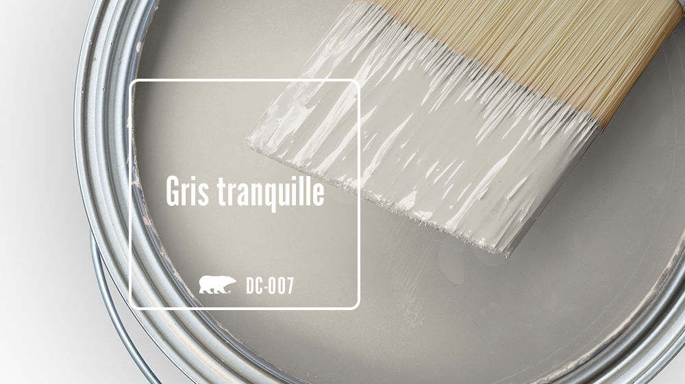Gris tranquille Color for Mobile