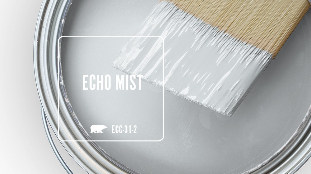 ECHO MIST Color for Mobile
