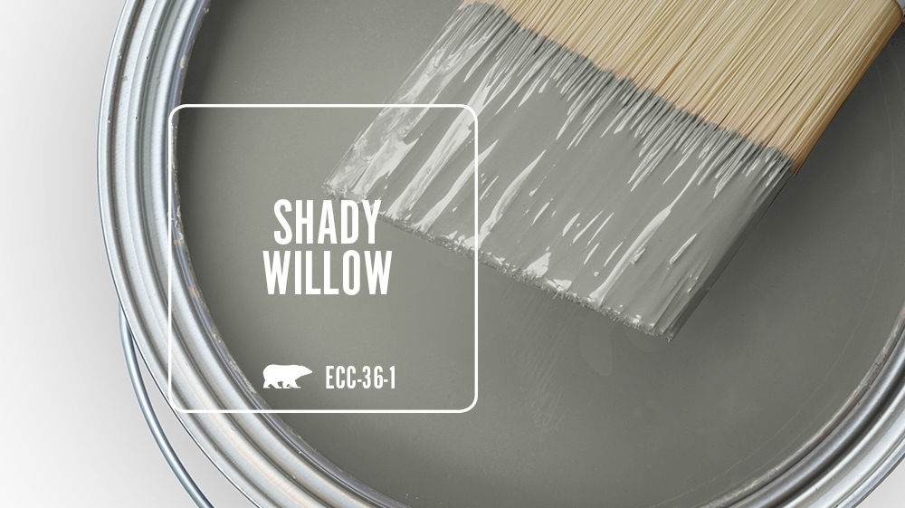 SHADY WILLOW Color for Mobile