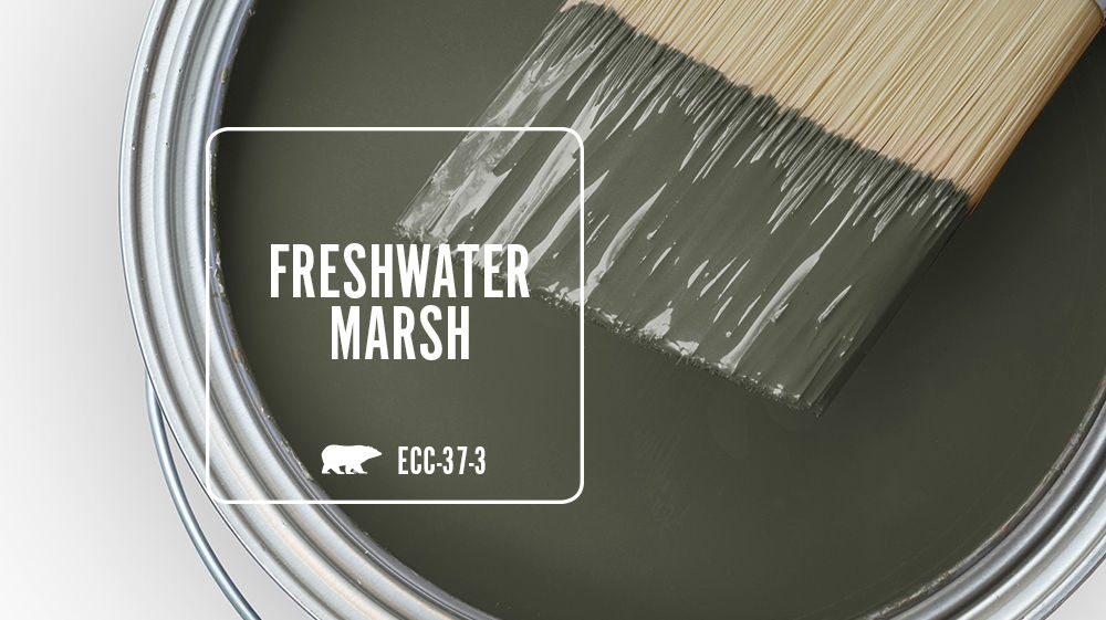 FRESHWATER MARSH Color