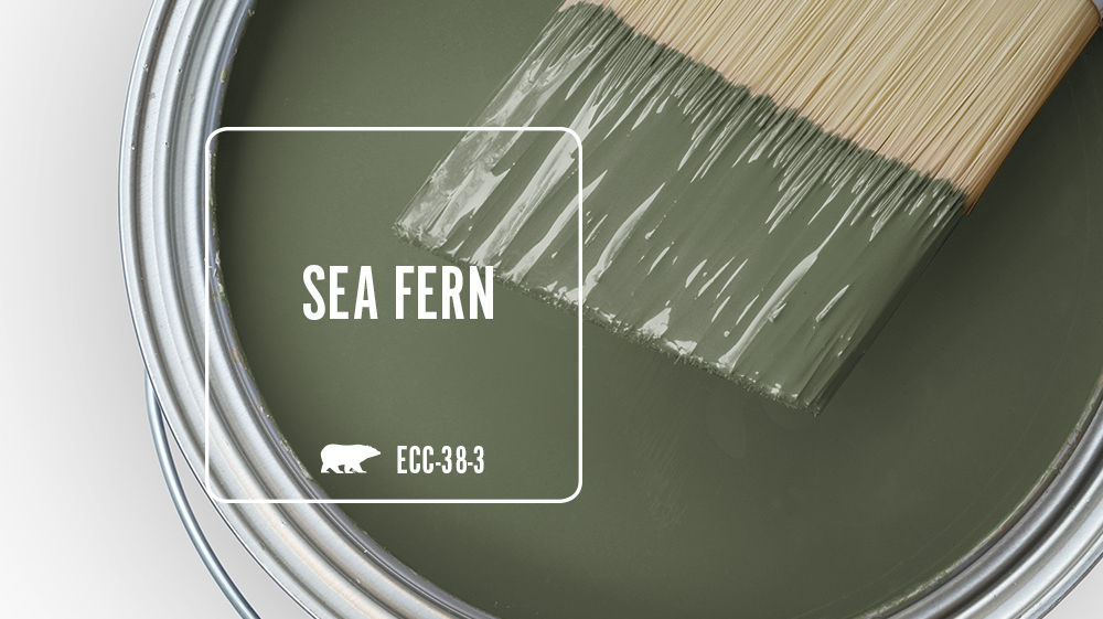 SEA FERN Color for Mobile