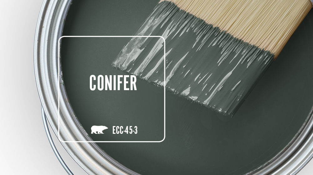 CONIFER Color for Mobile