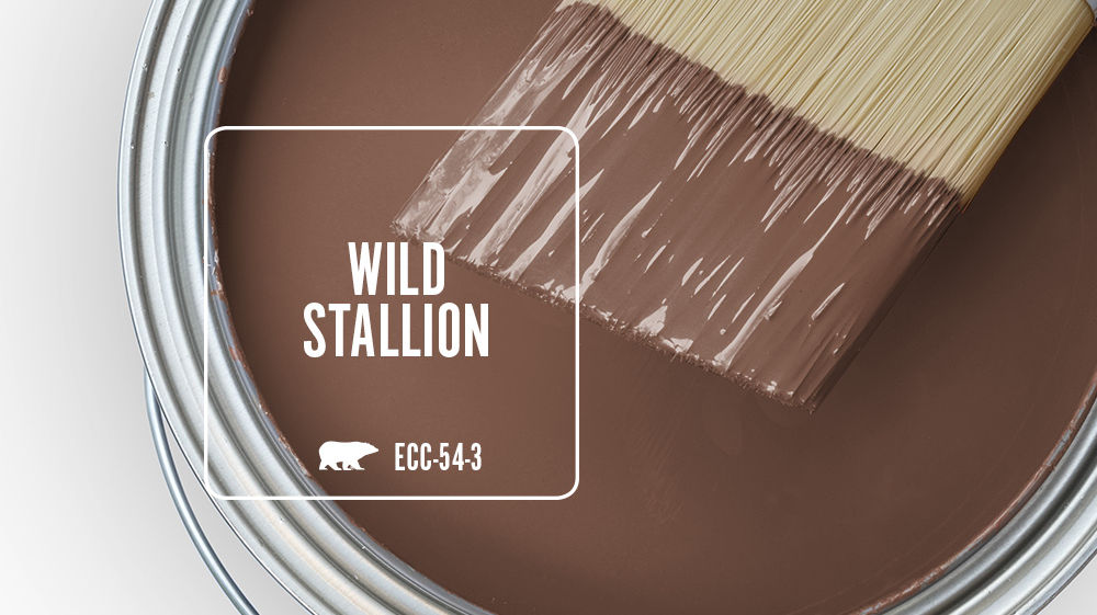 WILD STALLION Color for Mobile