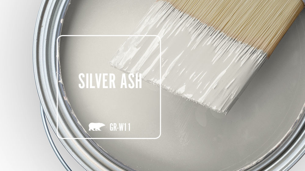 SILVER ASH Color for Mobile